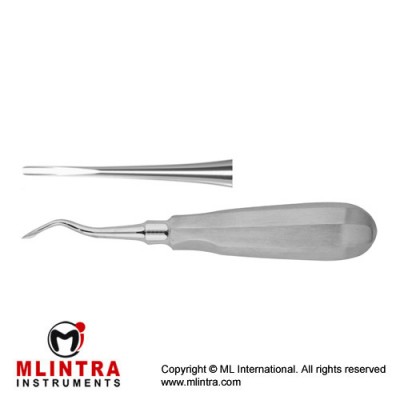Luxator Root Elevator Straight Stainless Steel, Tip Size 3 mm